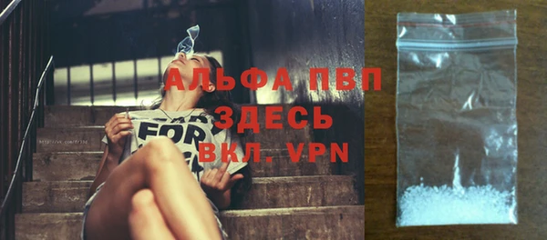 сатива Абинск