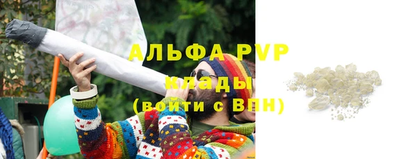 сатива Абинск