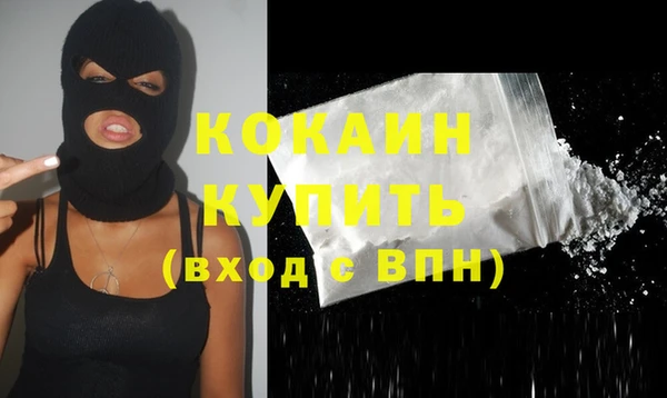 2c-b Ельня
