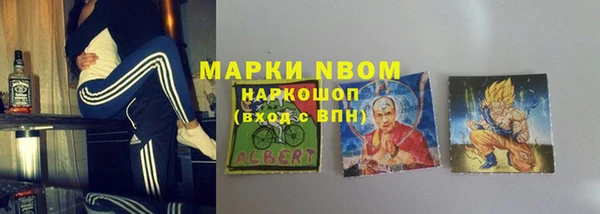 сатива Абинск