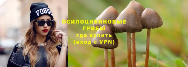 сатива Абинск