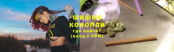 сатива Абинск