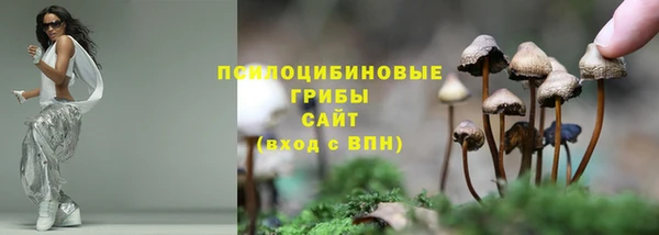 сатива Абинск
