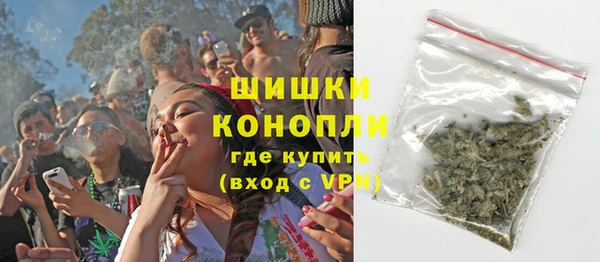 сатива Абинск