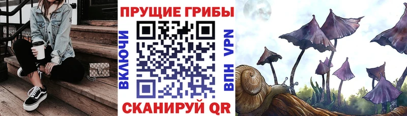 это как зайти  продажа наркотиков  Старый Крым  Галлюциногенные грибы GOLDEN TEACHER  kraken ТОР 